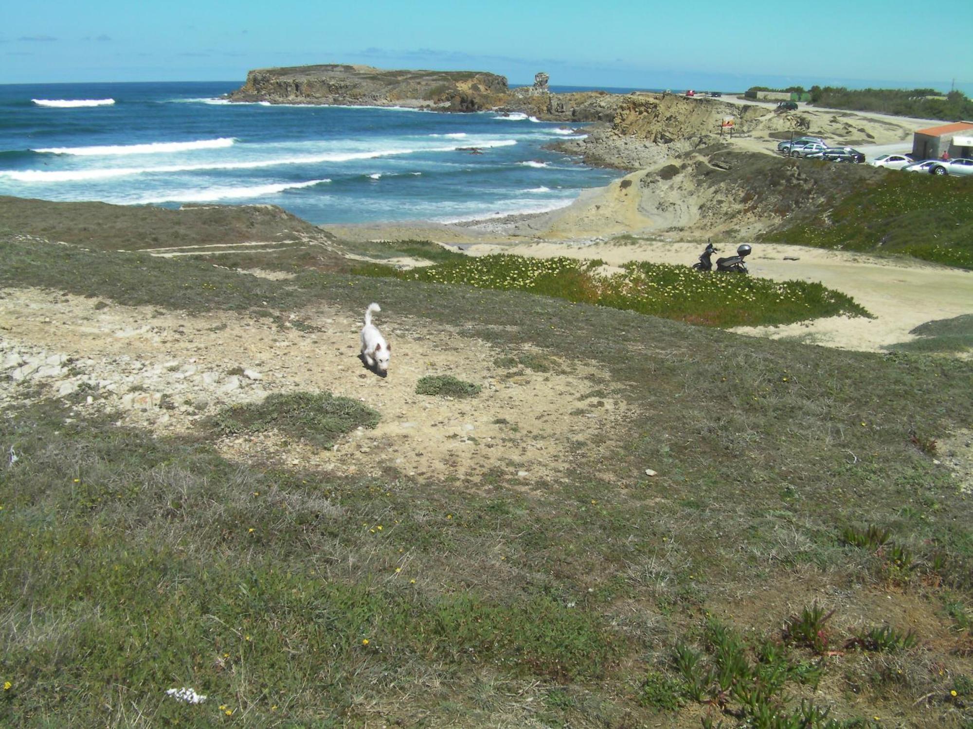 Peniche Surf Lodge 1 Eksteriør billede